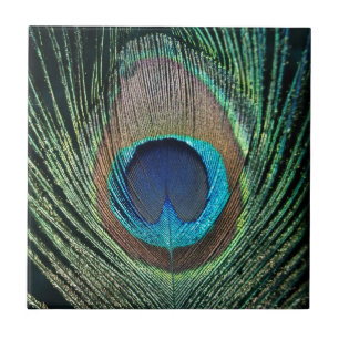 Dark Green Peacock Feather Tile