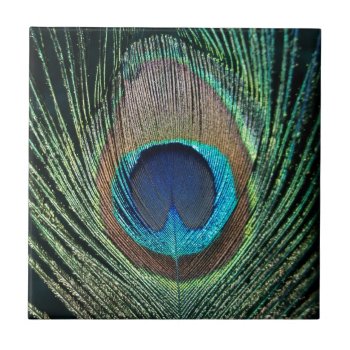 Dark Green Peacock Feather Tile by Peacocks at Zazzle