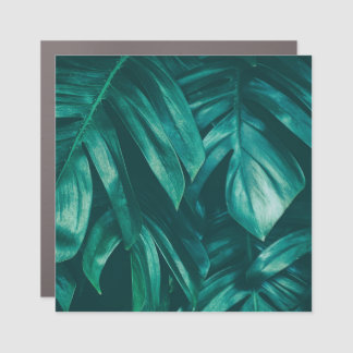 Dark green, tropical jungle foliage. car magnet