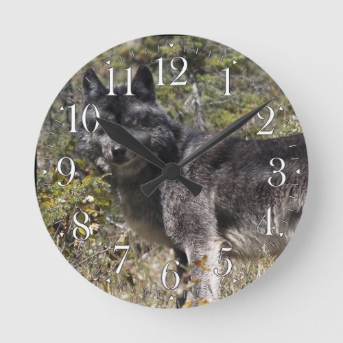 Dark Grey Wolf  Forest Pasture Photo Clock