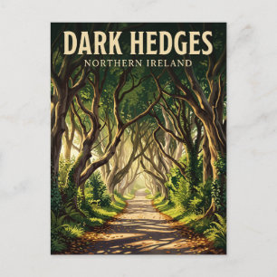 Dark Hedges Northern Ireland Postcard