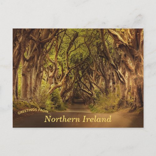 Dark Hedges Northern Ireland Postcard