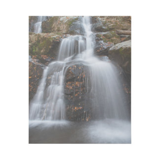 Dark Hollow Falls Gallery Wrap