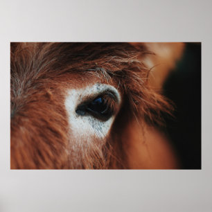 DARK HORSE EYE POSTER