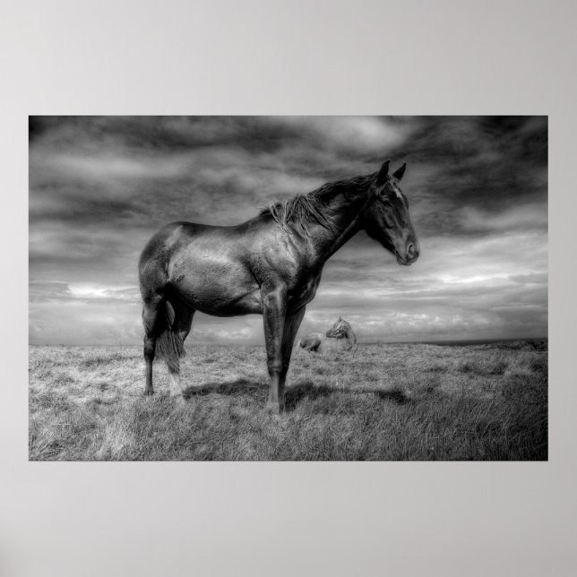 Dark Horse Poster (Front)