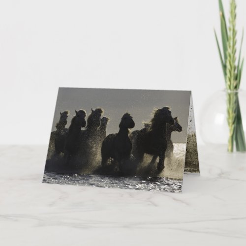 Dark Horses III Horse Greeting Card