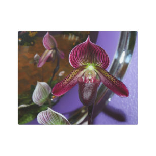 Dark Hues Lady Slipper Orchid Metal Wall Art