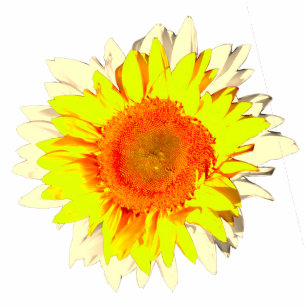 Hunter Green Clothing Zazzle Dark Hunter Green Sunflower On Flip Flops