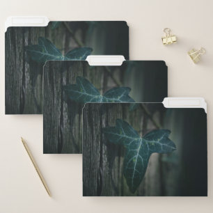 Dark Ivy Leaf Nature Photo File Folder