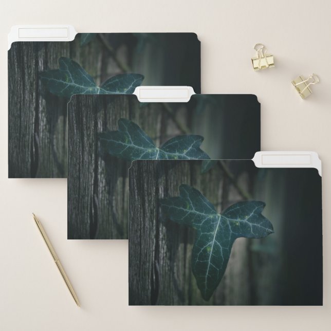 Dark Ivy Leaf Nature Photo File Folder (Set)