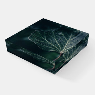 Dark Ivy Leaf Nature Photo Paperweight