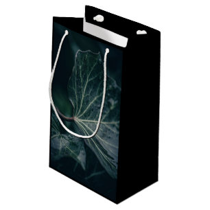 Dark Ivy Leaf Nature Photo Small Gift Bag