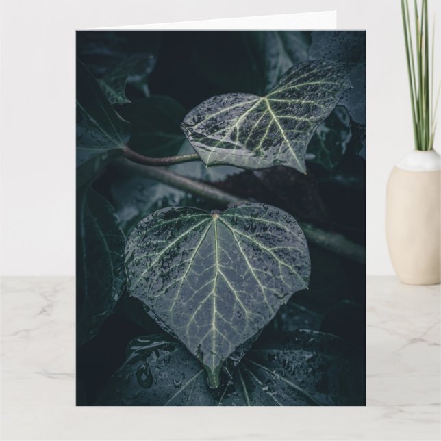 Dark Ivy Nature Photo Card (Front)