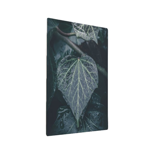 Dark Ivy Nature Photo Metal Print (3/4)