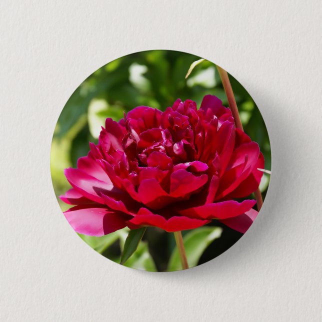 Dark Maroon velvet peonies Button (Front)