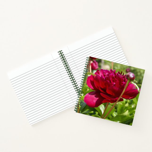 Dark Maroon velvet peonies Notebook (Inside)