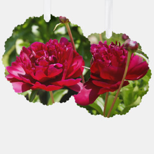 Dark Maroon velvet peonies Ornament Card