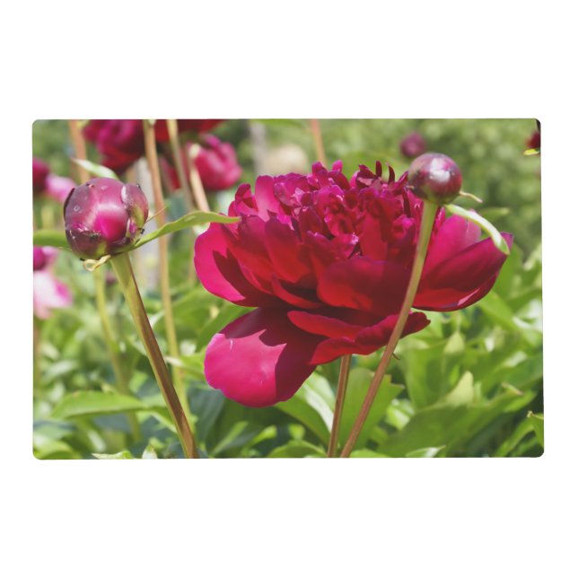 Dark Maroon velvet peonies Placemat (Front)