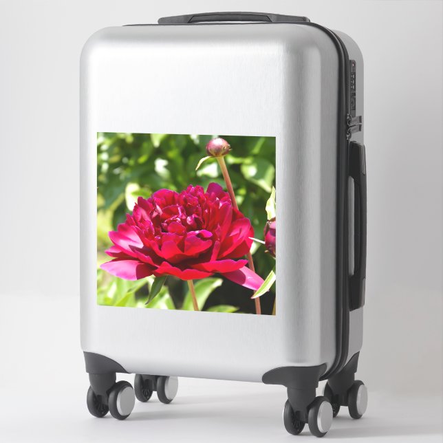 Dark Maroon velvet peonies Sticker (Suitcase)