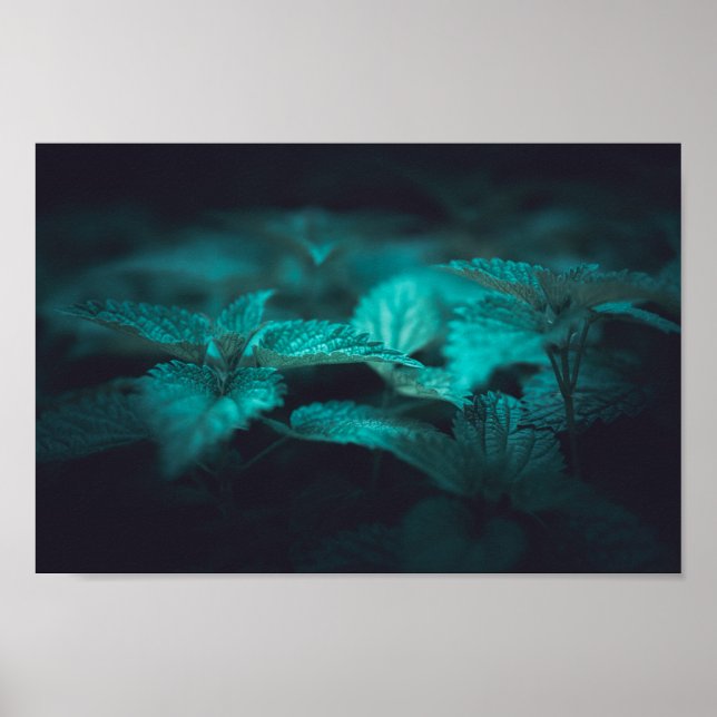 Dark Moody Stinging Nettle Nature Photo Poster (Front)