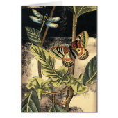 Dark Nature Scene by Vision Studio (Front)