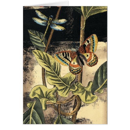 Dark Nature Scene by Vision Studio Cards (Front)