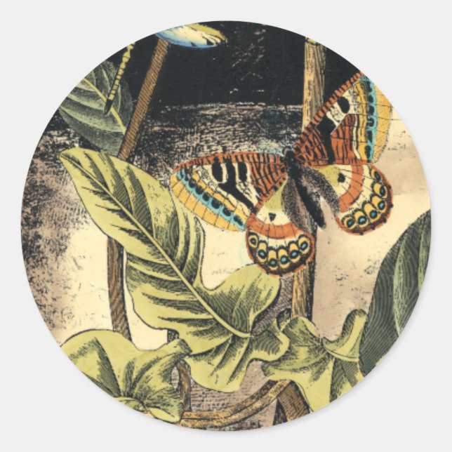 Dark Nature Scene by Vision Studio Classic Round Sticker (Front)