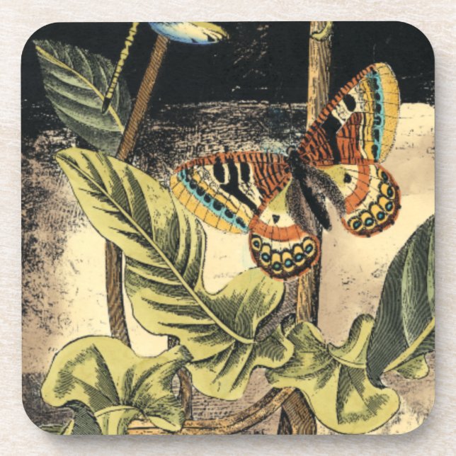 Dark Nature Scene by Vision Studio Drink Coaster (Front)
