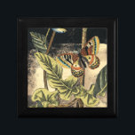 Dark Nature Scene by Vision Studio Gift Box<br><div class="desc">This dark nature scene shows a couple of butterflies and a dragonfly congregating above deep green leaves and a beautiful flower. You can almost hear the beating of wings as you study the piece. If you enjoy nature you'll enjoy this painting. Buy your copy today!</div>