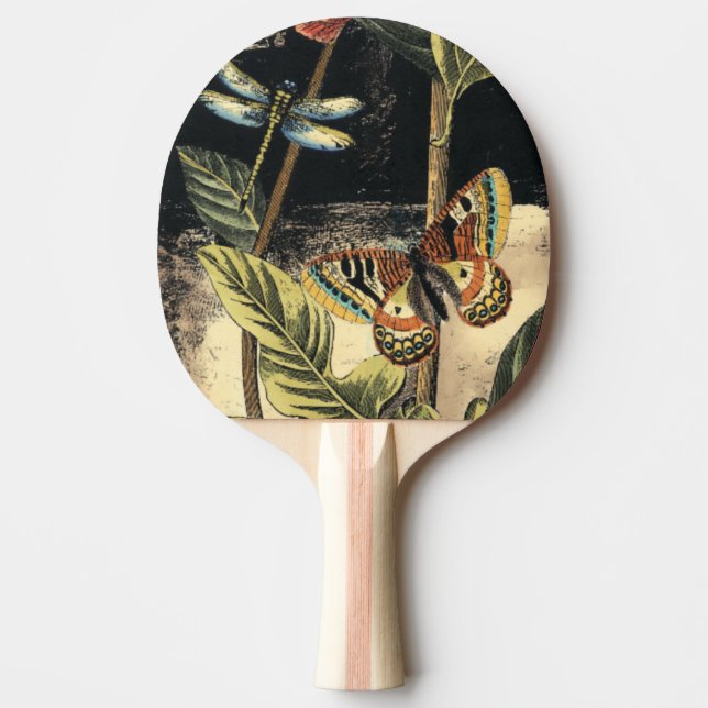 Dark Nature Scene by Vision Studio Ping Pong Paddle (Front)