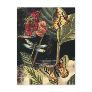 Dark Nature Scene by Vision Studio Postcard