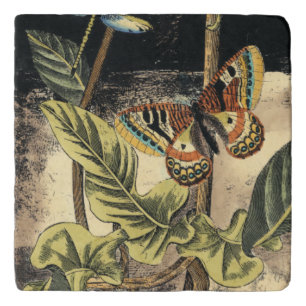 Dark Nature Scene by Vision Studio Trivet