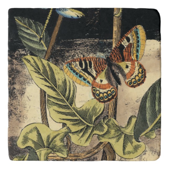 Dark Nature Scene by Vision Studio Trivet (Front)