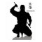 dark ninja, shhinnob