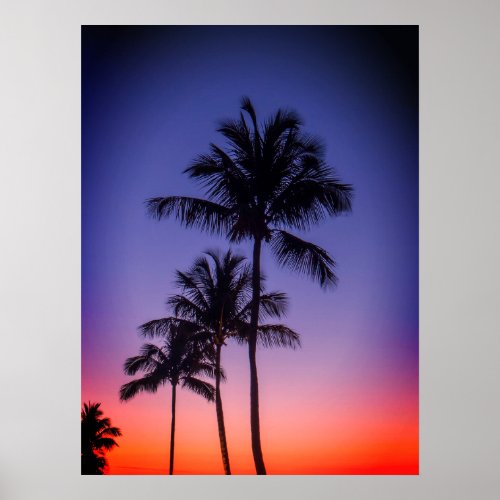 Dark Palm Tree  Gradient Sky Poster