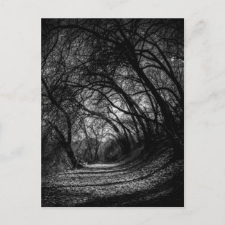 Dark Pathway Postcard