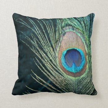 Dark Peacock Feather Throw Pillow by Peacocks at Zazzle