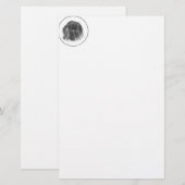 Dark Pekingese (Front/Back)