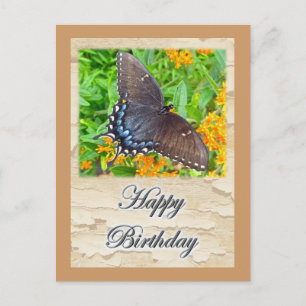 Dark Phase Tiger Swallowtail Butterfly Birthday Postcard