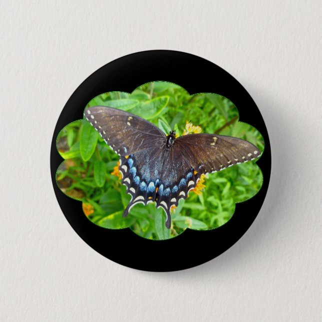 Dark Phase Tiger Swallowtail Butterfly Items Pinback Button (Front)