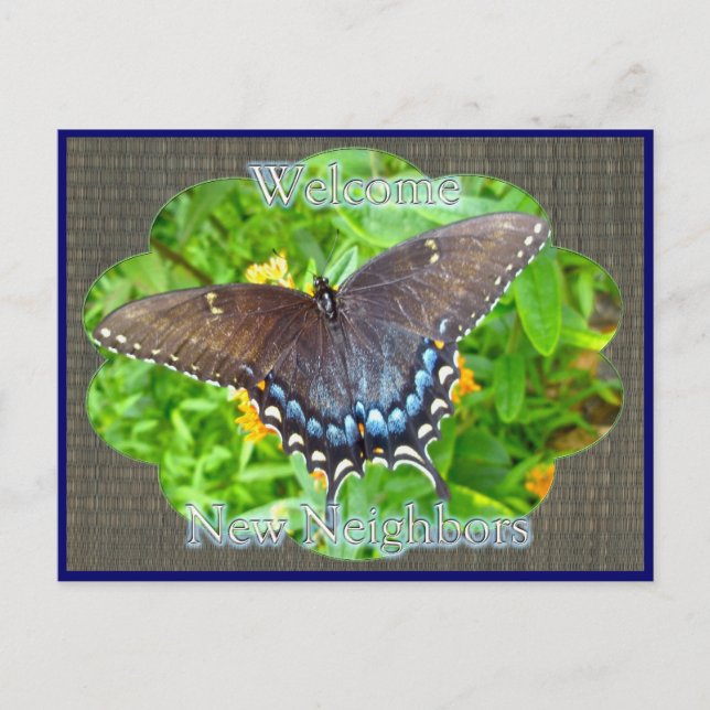 Dark Phase Tiger Swallowtail Welcome Neighbor Postcard (Front)