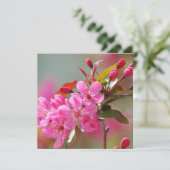 Dark Pink Cherry Blossoms (Standing Front)