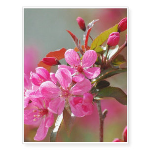 Dark Pink Cherry Blossoms Temporary Tattoos