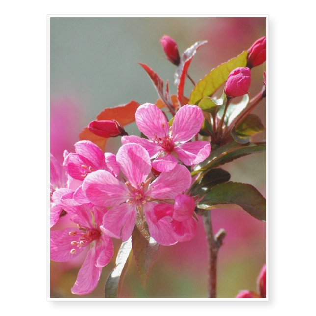 Dark Pink Cherry Blossoms Temporary Tattoos (Front)