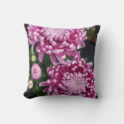 Dark Pink Chrysanthemum Flower floral Cushion
