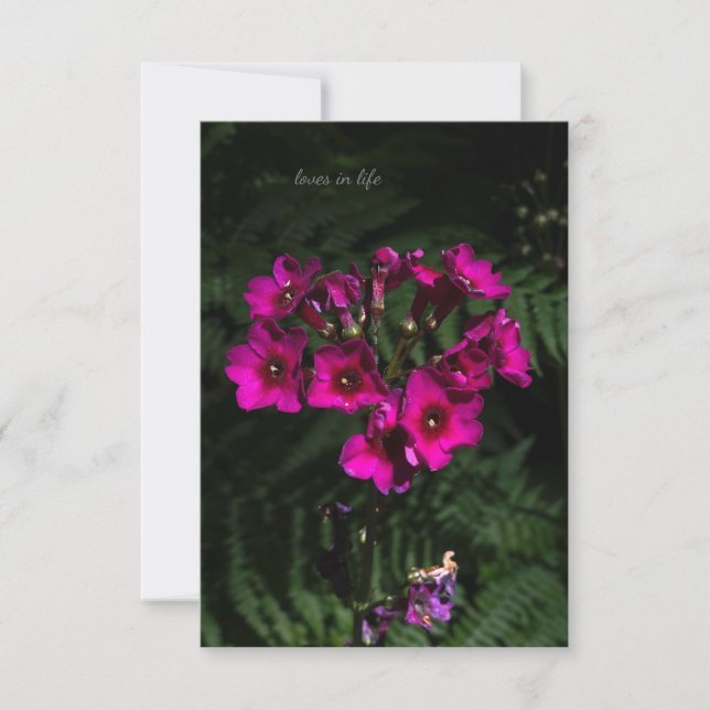 Dark Pink Flower with Ferns Note Card (Front)