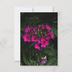 Dark Pink Flower with Ferns Note Card