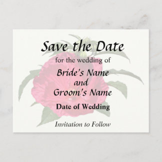 Dark Pink Hibiscus Announcement Postcard