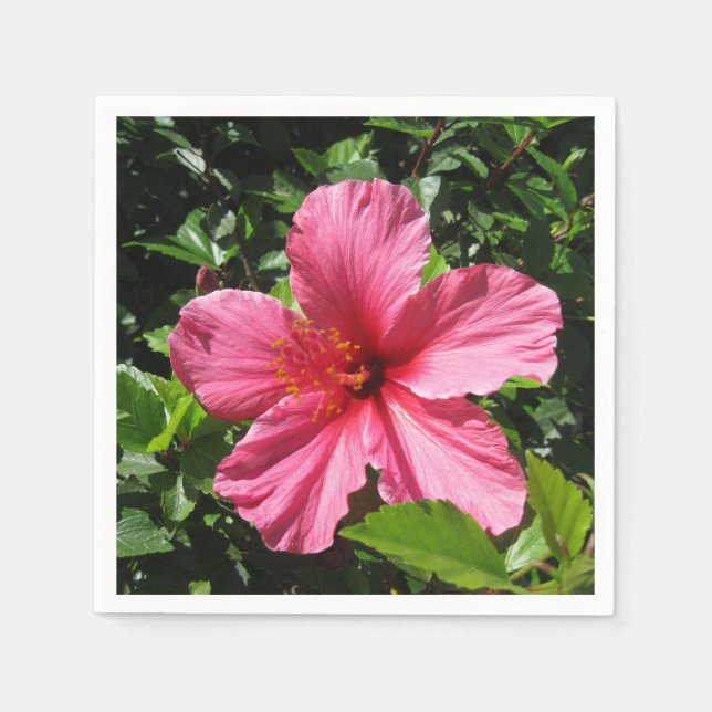 Dark Pink Hibiscus Paper Napkins (Front)