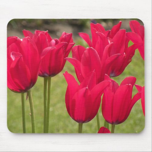 Dark Pink or Red Mouse Pad with Tulips